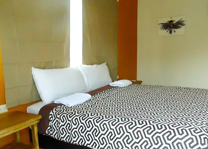 Art Hotel *